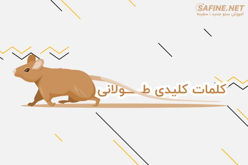 کلمات کلیدی طولانی long tail keywords