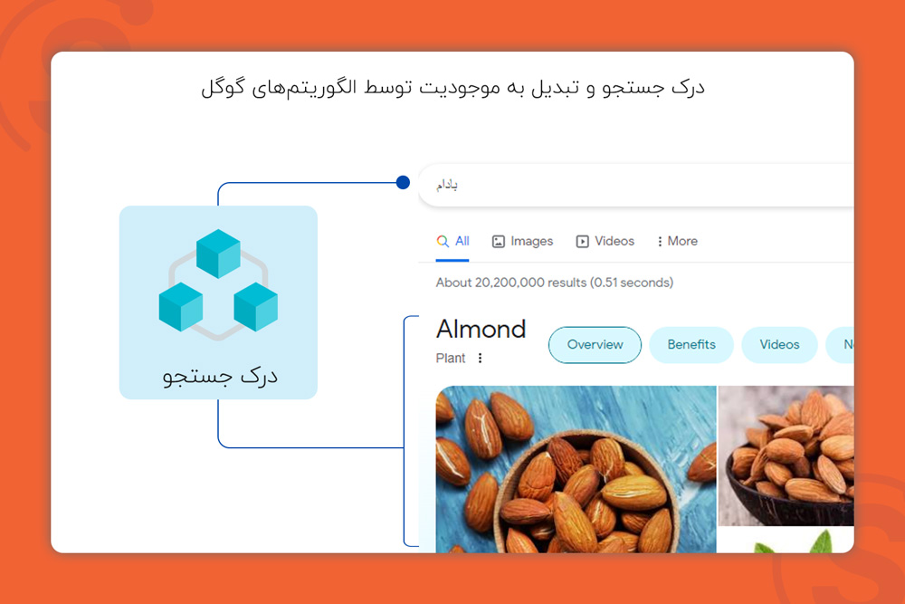 درک و تبدیل جستجو به موجودیت در الگوریتم‌های گوگل