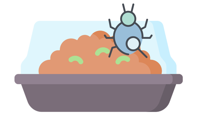 Goole-sandbox-
